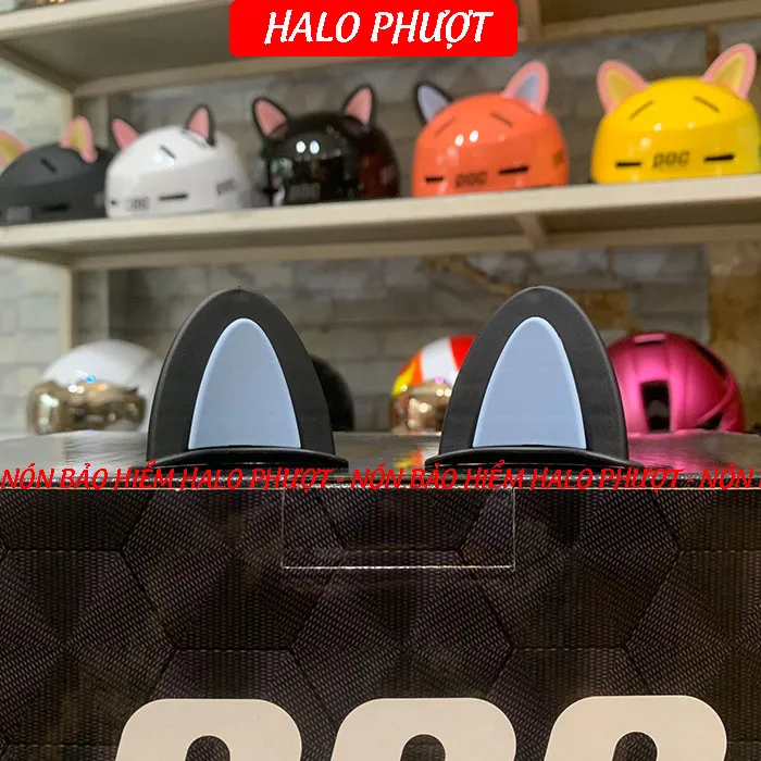 Tai Mèo 2 có đế màu gắn nón bảo hiểm - Đen Xanh